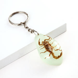 Nuovo ciondolo Vintage scarabeo luminoso ambra crescere in resina di plastica di lusso scuro a goccia d'acqua triangolo ovale portachiavi portachiavi insetti - Product Image 5