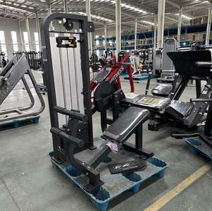 Chine Grande Usine Nouvelle Arrivée Pin Chargé Marteau Équipement De Gymnastique <span class=keywords><strong>FM22</strong></span> Machine Abdominale Machines Sélectorisées - Product Image 3