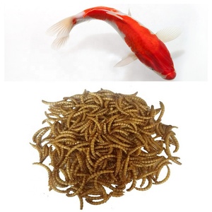 Gusanos de la Harina Secos con Alto Contenido de Proteína <span class=keywords><strong>para</strong></span> Alimento de Peces Guppy - Product Image 2
