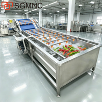 Industriële automatische wasmachine voor peper/sla/kool/spinazie