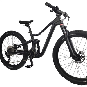 Vélo de montagne à suspension souple en fibre de carbone, très vendu, 20/24 pouces, ultraléger, double frein à disque, Zzp-a178 - Product Image 1