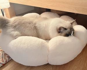 Stijlvolle Minimalistische Pluizige Bloemen Vorm Pluche Kat Nest Klein Indoor Huisdier Bed Voor Honden Winter Wasbaar Donut Kat Bed - Product Image 2
