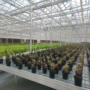 Grands matériaux de serre de marée équipement d'irrigation de semis intégré équipement horticole plateau de semis - Product Image 5