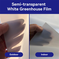 Film plastique pour serre blanc à 55% d'ombrage, couverture en polyéthylène, 5MIL 6MIL, film de serre agricole pour plantes