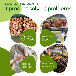 Extrait d'huile d'origan de qualité alimentaire, solution orale de carvacrol pour améliorer la croissance des poulets de chair et la production d'œufs chez les <span class=keywords><strong>poules</strong></span> pondeuses - Product Image 2