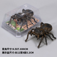 Jouet à remonter araignée simulée transfrontalière pour enfants, modèle d'insecte mobile rampant amusant pour farces