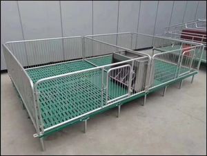 Plataforma de suelo para cerdos con protección contra fugas de estiércol para la industria minorista con 1 año de garantía - Product Image 4