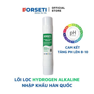 Cartouche de filtre à eau domestique à bloc de carbone pour osmose inverse d'eau alcaline hydrogénée de type U, en boîte ondulée, facile à utiliser - Product Image 1