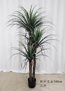 AF7004ราคา<span class=keywords><strong>ถูก</strong></span>ตกแต่งพลาสติกในร่มพืชเทียมต้นไม้กระถางมังกร<span class=keywords><strong>ต้นไม้</strong></span>พืชสำหรับตกแต่งบ้าน - Product Image 5