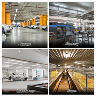 Brandon Industrial Led Lighting Antidéflagrant Monté en surface Led Batten Tri-Proof Light Entrepôt Lumière étanche