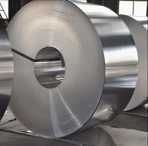 Tira/Bobina de Aleación de Níquel Recocido Brillante de Fábrica (Grados Hastelloy) Estándar ASTM, Superficie Laminada en Caliente/Frío, en Existencia - Product Image 4