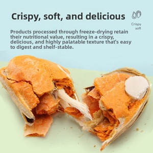 Snacks Liofilizados <span class=keywords><strong>de</strong></span> Mejillón <span class=keywords><strong>Verde</strong></span> para Gatos y <span class=keywords><strong>Perros</strong></span> - Cuidado <span class=keywords><strong>de</strong></span> Articulaciones y Movilidad, Bocadillos Naturales para Mascotas, OEM/ODM Disponible - Product Image 3