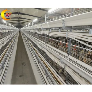 Poultry Farm House H Type Galvanized Welded Wire Mesh Broiler Chicken Cage