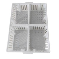 Usine directe caisse à poussins d'un jour boîte à poussins en plastique équipement d'élevage de volaille panier de Transport en plastique pour bébés poussins