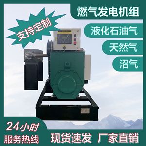 เครื่องกำเนิดไฟฟ้าก๊าซ Cummins 20kW ใช้ก๊าซ LPG และก๊าซธรรมชาติ พร้อมรีโมทคอนโทรล สำหรับสถานีฐานสื่อสาร - Product Image 5