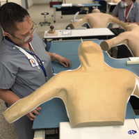 PVC interne sous-clavier de mannequin de simulation de ponction de veine jugulaire pour le modèle de formation de cathétérisme veineux central périphérique
