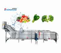 Hoog efficiënte roestvrijstalen fruit- en groentewasmachine met motorpomp voor reiniging, drogen en energiebesparing