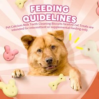 Biscuits et friandises pour chiens en forme d'os, saveur poulet et bœuf, marque privée OEM, pour l'alimentation des animaux de compagnie