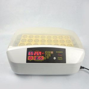 Incubadora Automática Hhd con Volteo de Huevos 42A, Huevos para Incubar en Venta en Jordania - Product Image 4