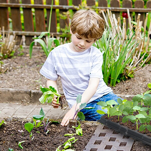 <span class=keywords><strong>200</strong></span> Tế Bào Hạt Giống Trồng Khay Nhà Sản Xuất Chuyên Nghiệp Hạt Giống Bắt Đầu Khay 50 72 105 128 <span class=keywords><strong>200</strong></span> Tế Bào - Product Image 6