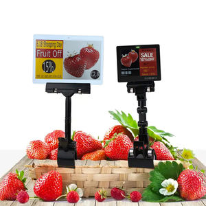 Etiqueta Electrónica Digital para Estantes 4.2, Etiqueta de Precio para Exhibición en Tiendas, con Sistemas EAS, Kit de Demostración de Papel Electrónico, Etiqueta de Precio Digital con Pantalla de Tinta Electrónica - Product Image 1