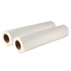 75u Double Side Heat Transfer Printing Cold Peel Hot Peel 30cm 60cm 24 Inch Matte Roll PET DTF Film For DTF Printer