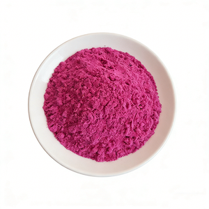 Polvo de Fruta de Dragón Liofilizado al por Mayor, Polvo de Pitaya Liofilizado - Product Image 2