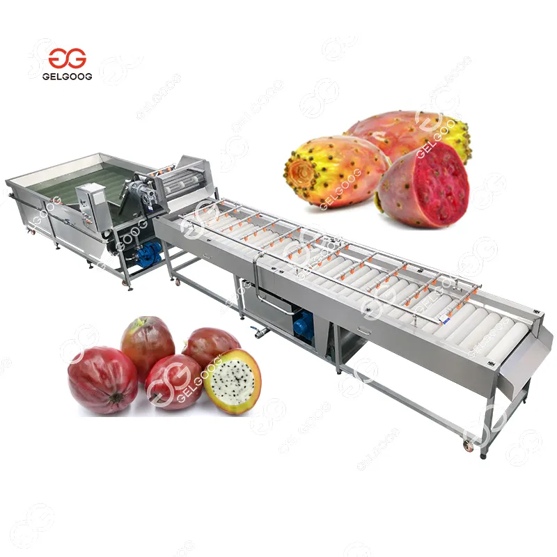 Máquina de cinta transportadora de lavado de frutas Línea de producción y limpieza de pera Espinosa Máquina de limpieza de ciruelas Máquina de kiwi para limpiar