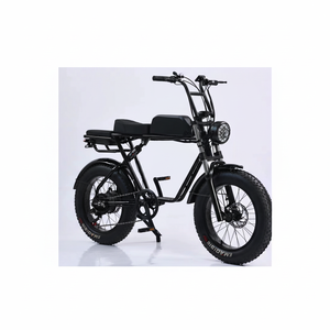 Tricycle motorisé électrique à 3 roues avec siège bébé pour adultes, vitesse unique, 48V 600W, cadre en acier à haute teneur en carbone - Product Image 1