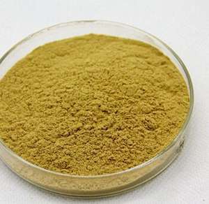 Psyllium Zaad Kaf Poeder Sperma Plantaginis Plantago Zaad Weegbree <span class=keywords><strong>Herb</strong></span> Seed <span class=keywords><strong>Extract</strong></span> Poeder - Product Image 4