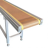 Petite machine à bande transporteuse en téflon, ligne de convoyage à bande en maille PTFE, système de transport résistant à la chaleur de qualité alimentaire