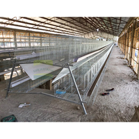 GREAT FARM Cage à poules de type A, 3 niveaux, 4 portes, nettoyage facile, collecte des œufs par glissement, acier galvanisé avec abreuvoir en PVC antirouille