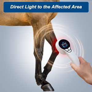 Tıbbi lazer veteriner araçları at ağrı kesici kedi yosun cilt köpek eklemler için lazer fizik tedavi cihazı - Product Image 2
