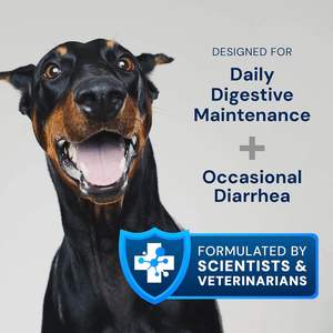 Le capsule probiotiche per animali domestici più vendute e gli integratori probiotici per cani possono ridurre il gonfiore - Product Image 2