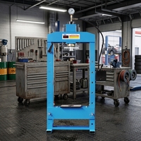 Presse hydraulique manuelle de luxe 20t neuve
