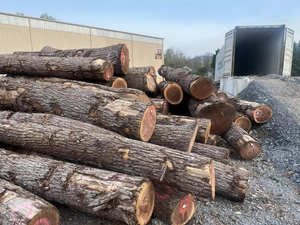 High Quality Hardwood <b>Logs</b> Including Oak and Teak for Furniture Making-on Offer! - Product Image 6