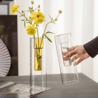 Vase en verre borosilicate à double paroi, tube cylindrique droit, couche intérieure colorée, vase à fleurs en verre, décoration de table, décoration de la maison