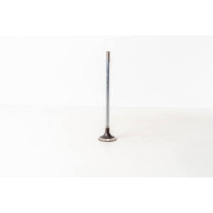 Soupape d'admission Convient pour les soupapes de moteur IVECO 500355776 - Product Image 1
