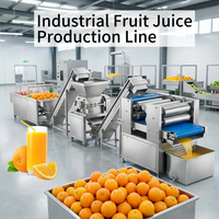 Línea de Producción de Jugo de Piña y Naranja NFC Equipada con Exprimidor, Homogeneizador de Alta Presión, Esterilizador y Máquina de Llenado