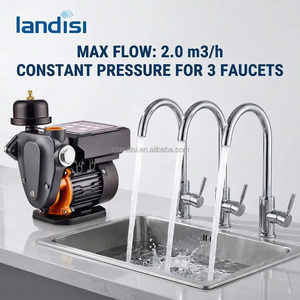 Bomba de Presión Alta Landisi de 300W, Bomba de Presión Constante de Una Etapa, Impermeable para Exteriores, 0.5HP, Presión Máxima de 35m para Viviendas - Product Image 3