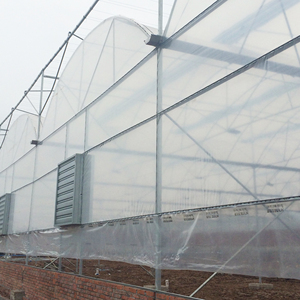 Cadre en acier pour serre à haut <span class=keywords><strong>tunnel</strong></span> avec tapis de contrôle des mauvaises herbes pour la plantation de concombres - Product Image 6