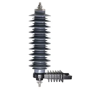 YH10W-30 divers types polymériques logés parafoudre parafoudre d'oxyde métallique