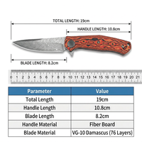 Couteau de poche pliant VG10 Damas, couteau tactique de chasse, outil EDC, couteau utilitaire de camping pour femmes, vente en gros, personnalisé 4020