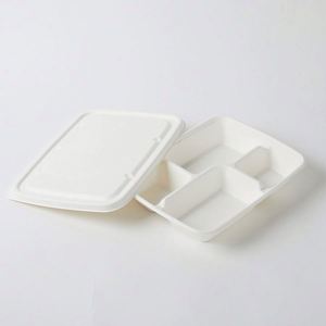 Boîte à lunch et assiettes biodégradables en canne à sucre à 5 compartiments, conteneur alimentaire à emporter, bento blanc - Product Image 4