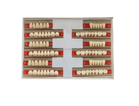 Laboratoire dentaire Caiyu, résine acrylique composite dentaire, plastique, prothèse complète, fausses dents, dents en résine synthétique