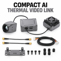 Module de caméra thermique pour drone Eclipse 009HD 4w, 960x768 50Hz, Avatar Ascent VTX UVC, zoom numérique, 4.5V 20V FPV, gris, certifié CE/FCC