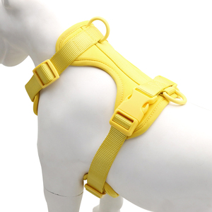 Arnés Ajustable para Perro de Nailon Acolchado con Cierre de Hebilla, Color Sólido, Estilo Simple para Perros - Product Image 2