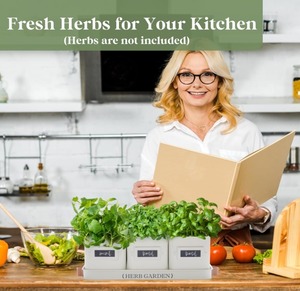 Set of 3 <strong>Kitchen</strong> Windowsill <strong>Herb</strong> Pots Indoor <strong>Herb</strong> Garden <strong>Planter</strong> with Tray for Home Use Eco-Friendly Plant Fiber Customizable - Product Image 2