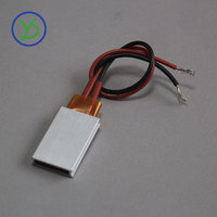35*21mm 12V 24V 220V Élément Chauffant PTC Chauffe Thermostat Plaque Chauffante PTC Chauffe Avec Coque En Aluminium Chaleur Plaque De Résistance