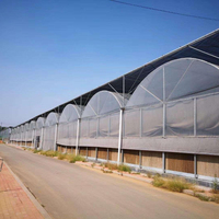 Serres vertes en plastique à plusieurs travées d'excellente résistance avec conteneur d'agriculture hydroponique